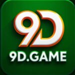 9DGame Logo